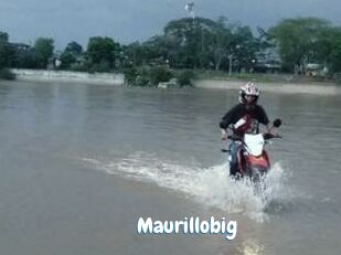 Maurillobig
