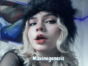 Maxinegenesis