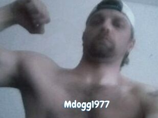 Mdogg1977