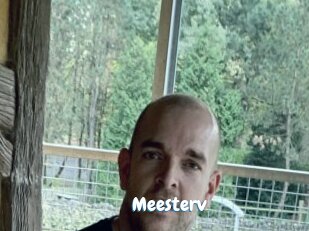 Meesterv