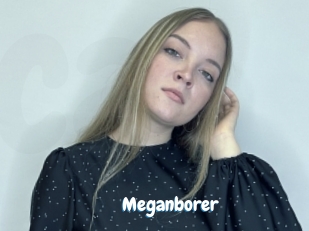 Meganborer