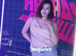 Meganfelt