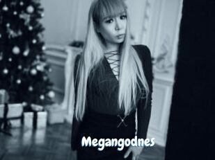 Megangodnes