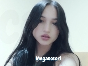 Meganosori