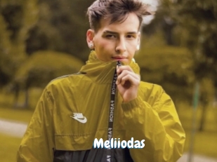 Meliiodas