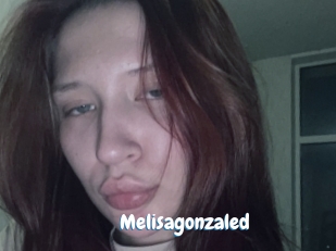 Melisagonzaled