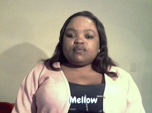 mellow Coquine Avenue
