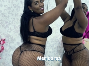 Meridaroa