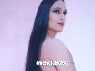Michelebosse
