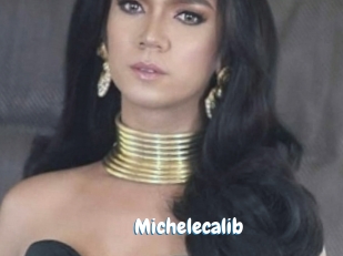 Michelecalib