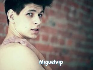 Miguelvip