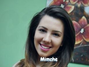 Mimche