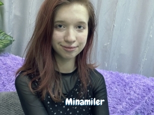 Minamiler