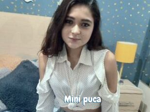 Mini_puca