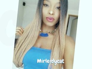Mirleidycat