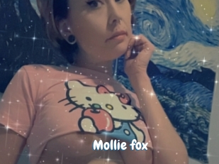 Mollie_fox