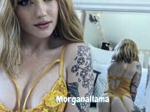 Morganallama