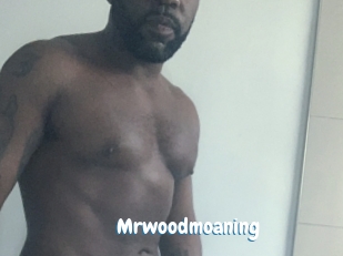 Mrwoodmoaning