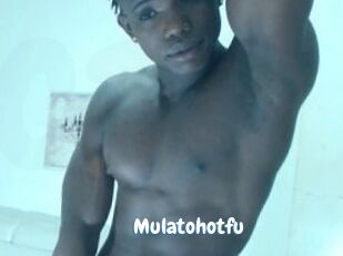 Mulatohotfu