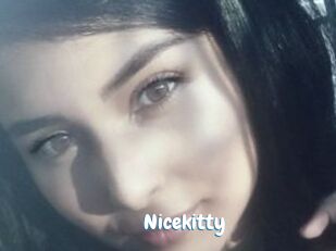 Nicekitty