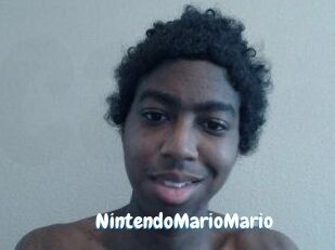 NintendoMarioMario
