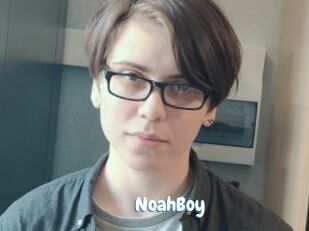 NoahBoy