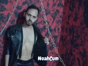 NoahCum