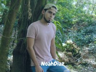 NoahDiaz