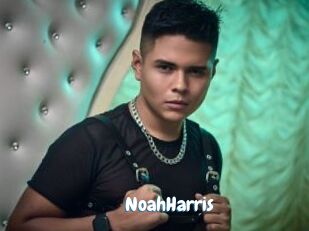 NoahHarris