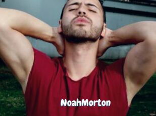 NoahMorton