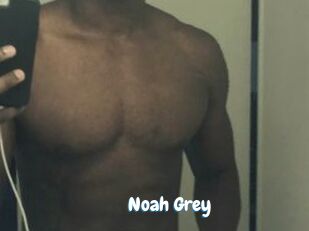 Noah_Grey