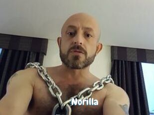 Norilla Coquine Avenue