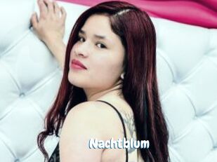 Nachtblum