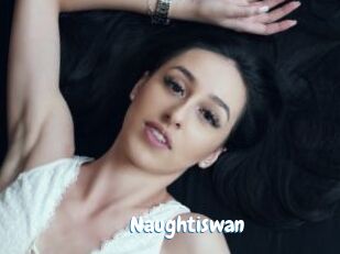 Naughtiswan