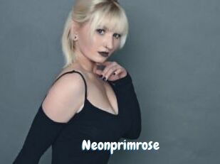 Neonprimrose Coquine Avenue