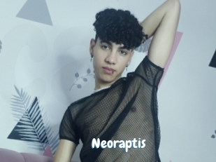 neoraptis Coquine Avenue