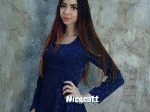 nicecatt Coquine Avenue