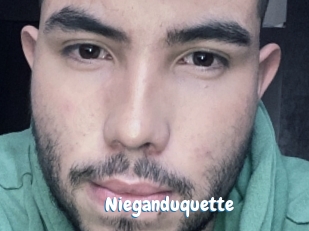 Nieganduquette