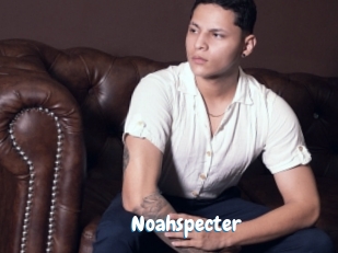 noahspecter Coquine Avenue