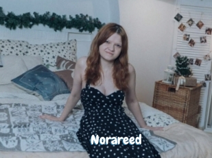 Norareed