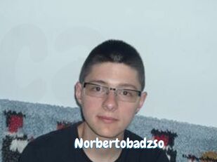 Norbertobadzso