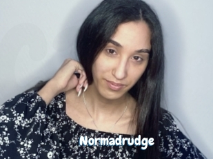 Normadrudge
