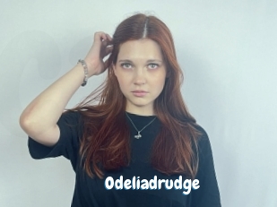 Odeliadrudge