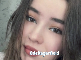 Odellagarfield