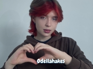 Odellahakes