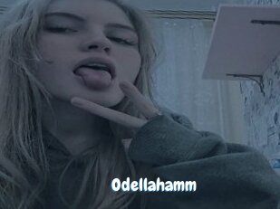 Odellahamm