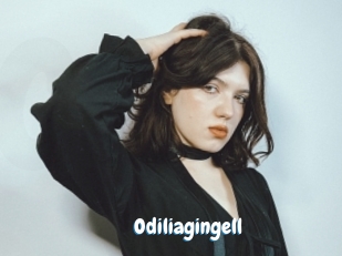 Odiliagingell