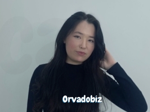 Orvadobiz