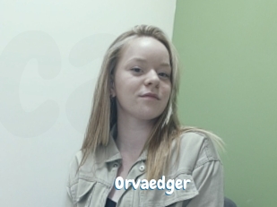 Orvaedger