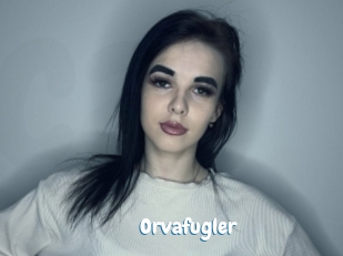 Orvafugler
